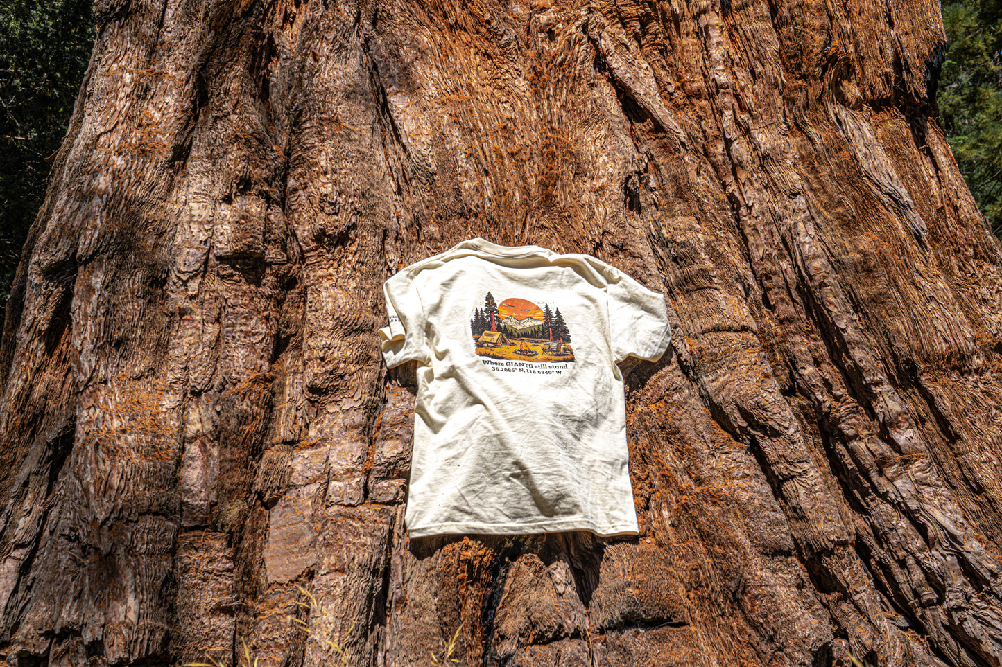 "Where GIANTS Still Stand" – MAPPD Sequoia T-shirt